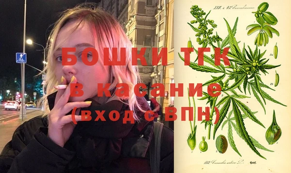 тгк Снежногорск