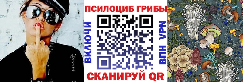 Галлюциногенные грибы GOLDEN TEACHER  Подольск 